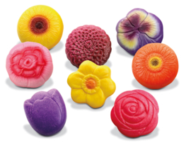 Sensorische speelstenen, bloemen