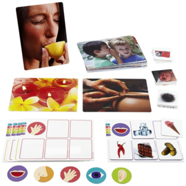 De vijf zintuigen, spel