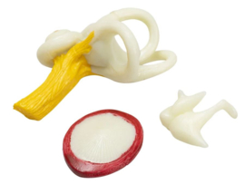 Reuze model menselijk oor