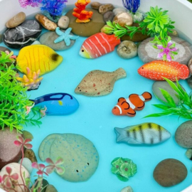 Sensorische speelstenen, Vissen