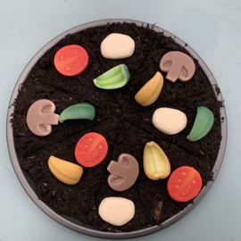 Sensorische speelstenen, Pizza toppings