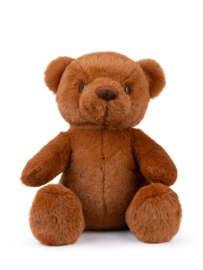 Pluche knuffel beer, 25 cm