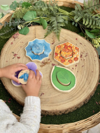 Puzzel: Welke insecten verstoppen zich in de tuin?