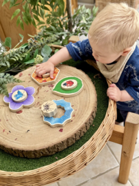 Puzzel: Welke insecten verstoppen zich in de tuin?