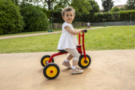 Driewieler Walker