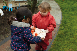 Natuurlijke sorteerbak, 9 vakken