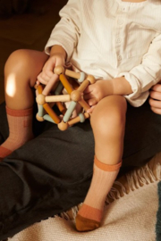 Motorische rammelaar