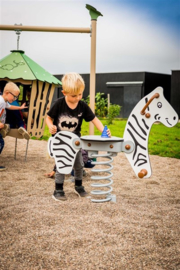 # Veerelement zebra