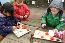Natuurlijke sorteerbak, 9 vakken