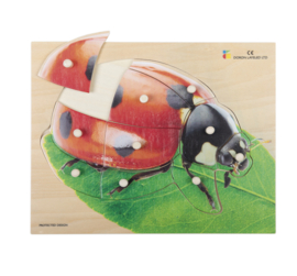 Houten puzzel, realistisch lieveheersbeestje
