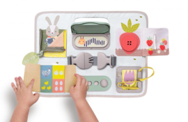 Activity Buckle Board