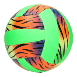 Volleybal, maat 5