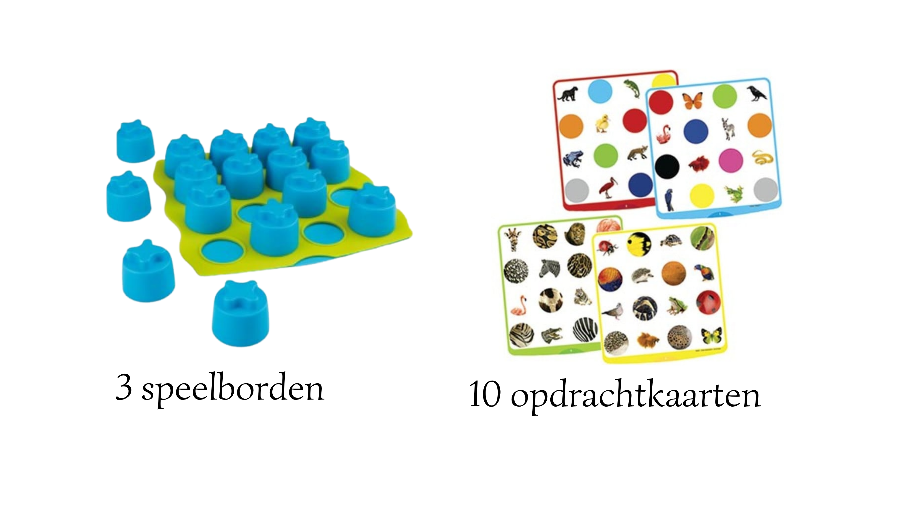 Quadrimemo memoryspel actiepakket  Actieprijs!