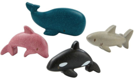 Zeedieren, 4 stuks