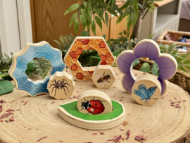 Puzzel: Welke insecten verstoppen zich in de tuin?