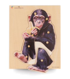 Houten puzzel, realistische chimpansee
