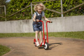 Step scooter
