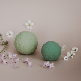 Sensorische ballen met bladmotief, groen