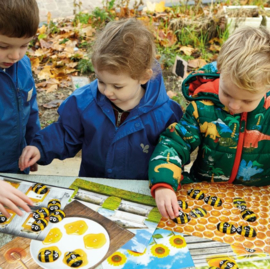Activiteitenkaarten incl. 2 Honingbij cijfer stenen
