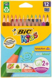 Kleurpotloden Bic Evolution Triangle, 12 stuks