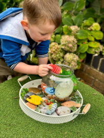 Sensorische speelstenen, Vissen