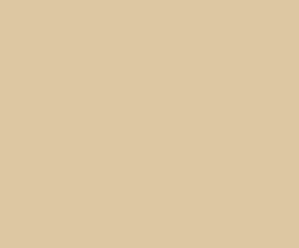 Dun engels karton 130 gr. 50 x 70 cm 100 vel chamois