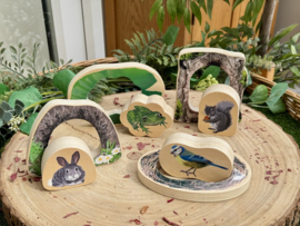 Puzzel: Welke dieren verstoppen zich in het bos?