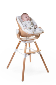Evolu Newborn Seat voor Evolu 2 + One.80° knoppen antraciet