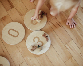 Pikler Stepping Stones set