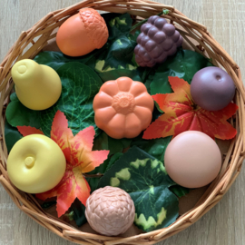 Sensorische speelstenen, Feest van de natuur