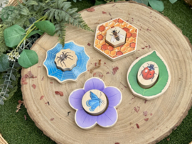 Puzzel: Welke insecten verstoppen zich in de tuin?