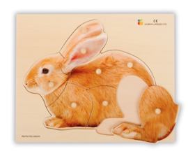 Houten puzzel, realistisch konijn