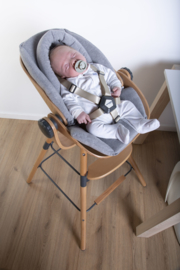 Evolu Newborn Seat voor Evolu 2 + One.80° knoppen antraciet