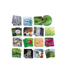 Maxi geheugenspel Natuur