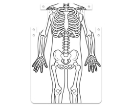 Schort met het skelet, 12 stuks