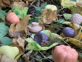 Sensorische speelstenen, Feest van de natuur
