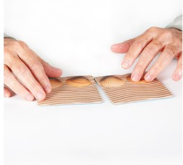 Maxi geheugenspel Natuur