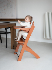 Evosit meegroeistoel incl. eetblad | Roest