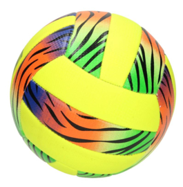 Volleybal, maat 5