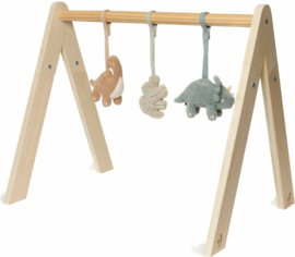 Houten babygym Dino's