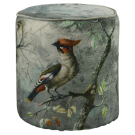 Hocker kuifvogel groen