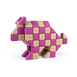 JollyHeap set Educational, 100 stuks magnetische blokken (2 vormen)