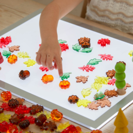 Tickit doorschijnende gekleurde bladeren en zaden, 120 stuks