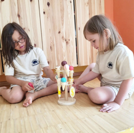 Houten ijsjes, inclusief verkoopstandaard