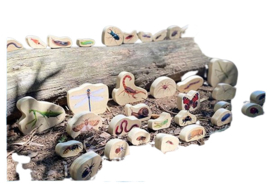 Tickit houten insecten blokken