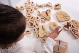 Tickit houten insecten blokken