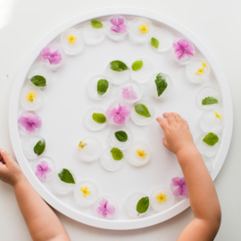 Inspire My Play - The Play Tray