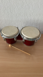 Bongo showroommodel