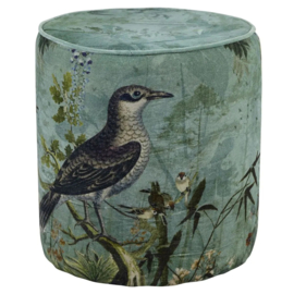 Hocker zanglijster groen