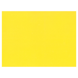 Dik engels karton 300 gr. 50 x 70 cm 25 vel